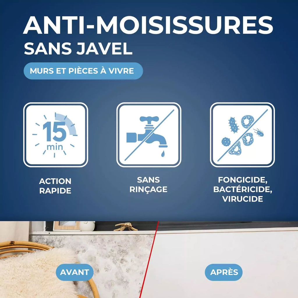 Spray anti-moisissures pour murs et pièces à vivre Starwax Hydrolab France