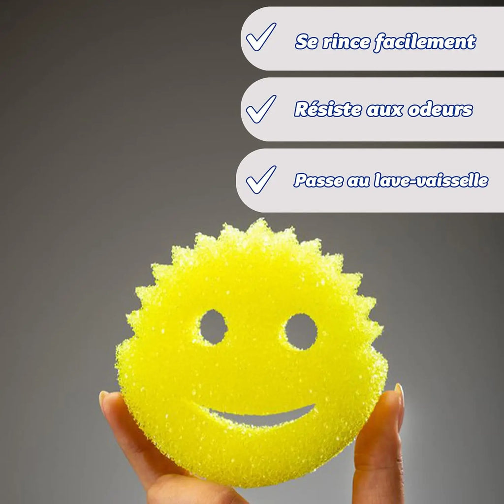 2 éponges lavables réutilisables - Scrub Daddy Hydrolab France