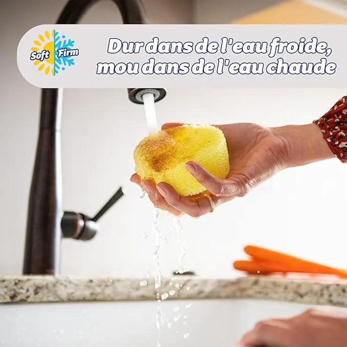 2 éponges lavables réutilisables - Scrub Daddy Hydrolab France