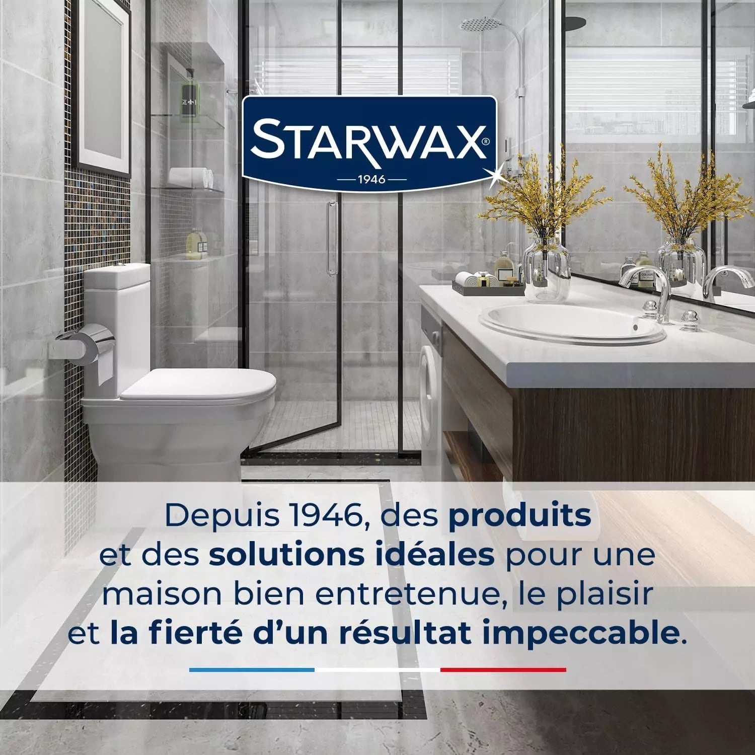 Spray anti-moisissures pour murs et pièces à vivre Starwax Hydrolab France